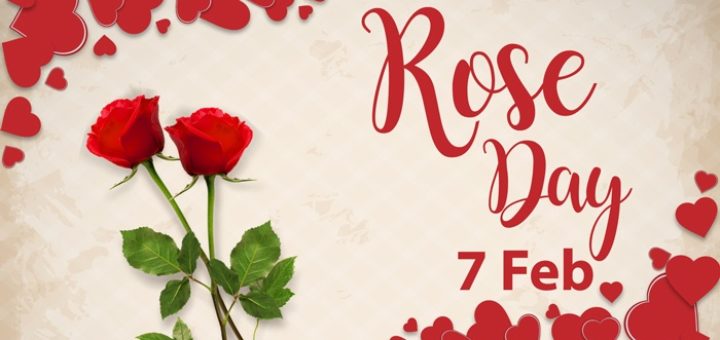 Happy Rose Day 2018